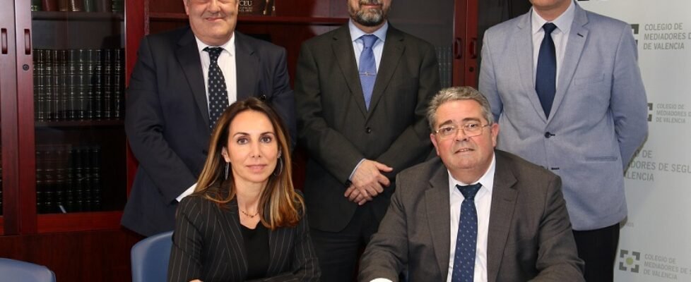 cmsv_protocolo_reale