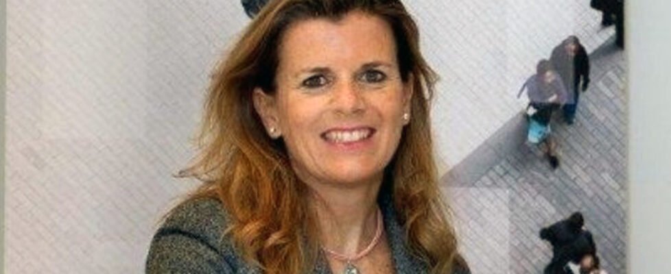 willis ana matarranz