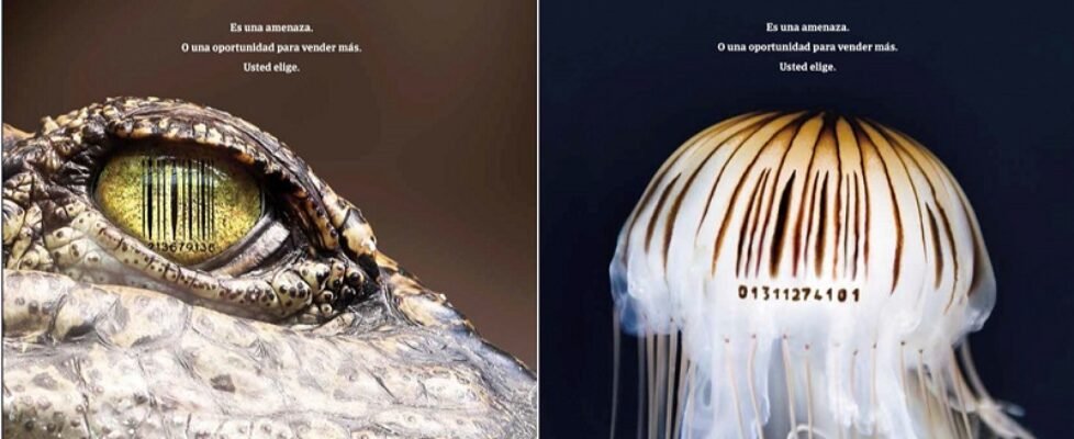 Credito y Caucion Ampe