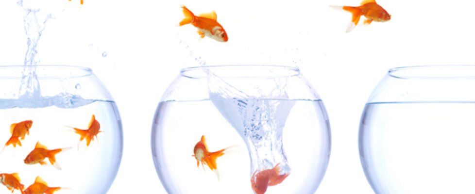 Plus ultra unit linked