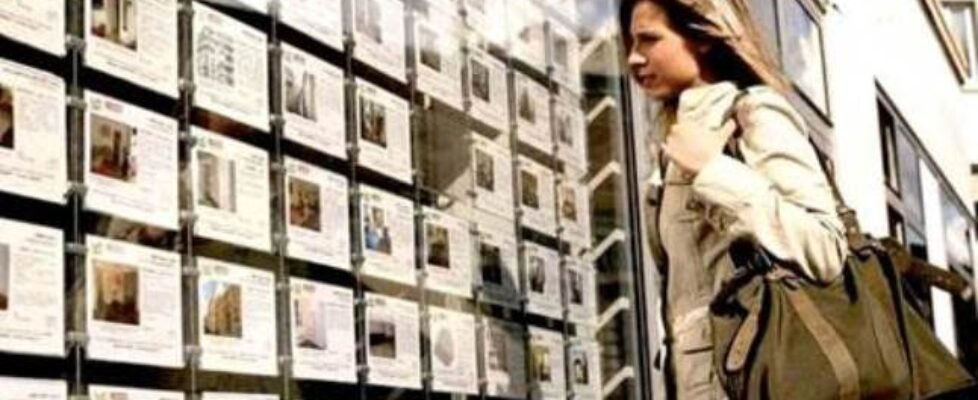 arrenta inmobiliario