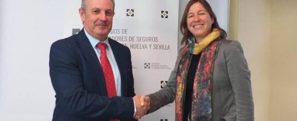 colegio sevilla caser-2