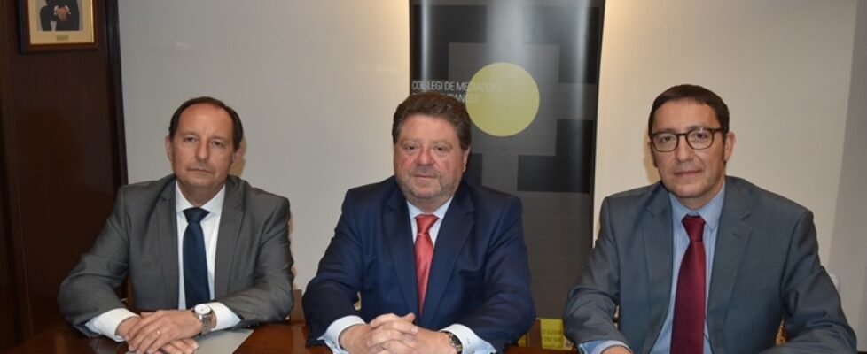 lleida colegio vital