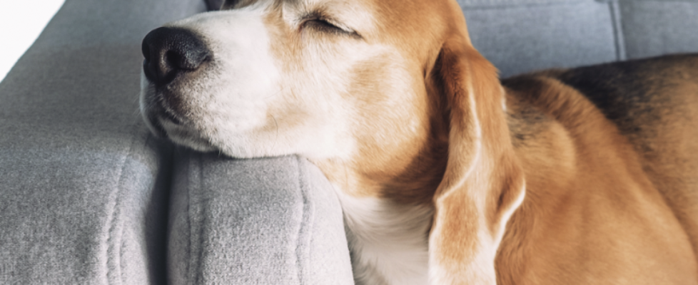 Catalana Occidente el cargador de confianza