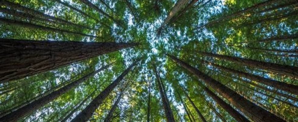 Verti sierra de gredos