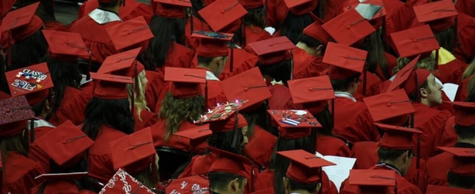 formación universidad master