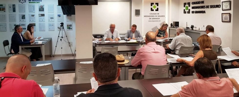 Asamblea General CMS-Granada