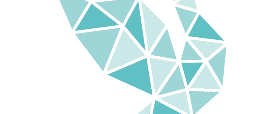 CybNus_Logo_250x250_hi