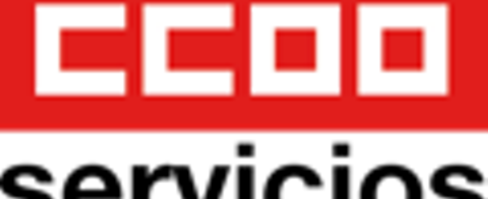 ccoo servicios