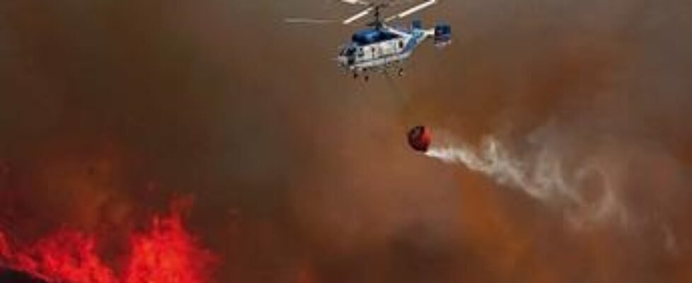 fundacion axa bosques