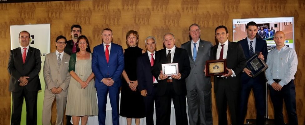 patrona del Seguro 2018