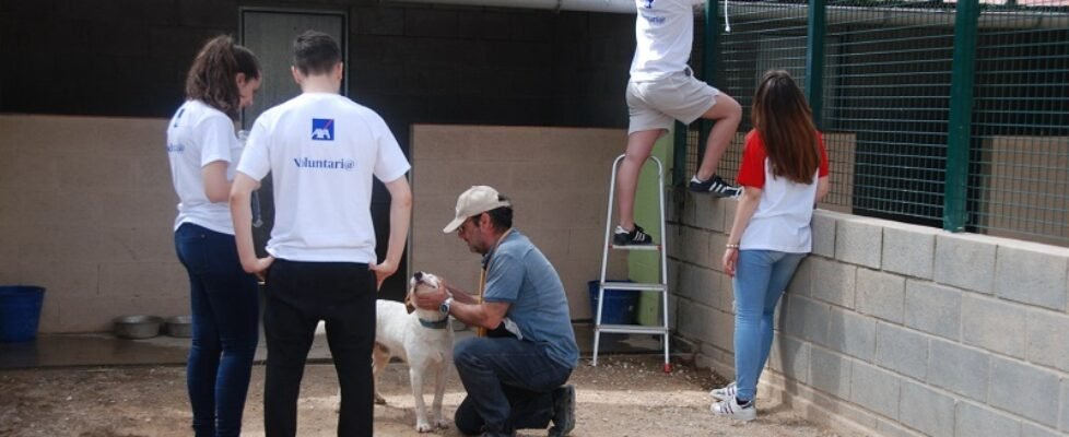 AXA X Solidaria de la Empresas