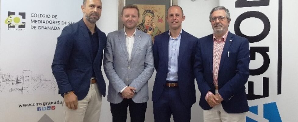 aegon y mediadores de granada