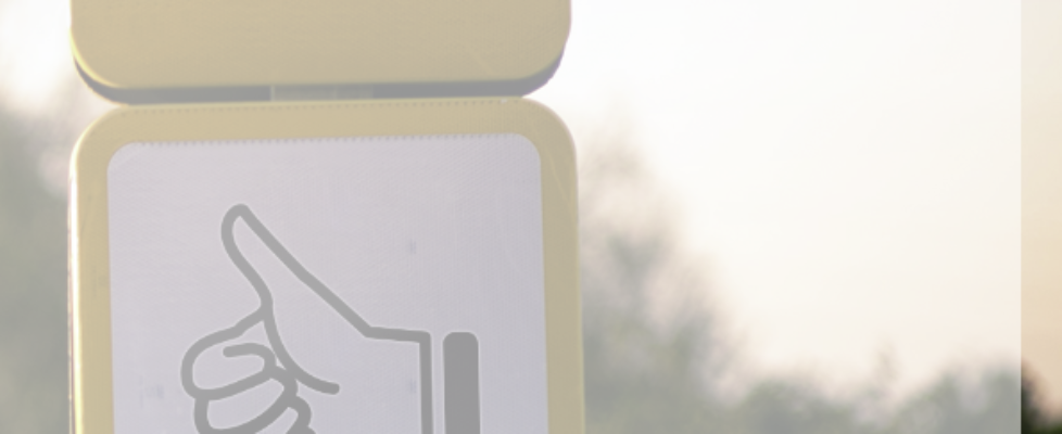 avant 2 produccion_2019