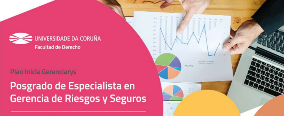 curso gerencia riesgos