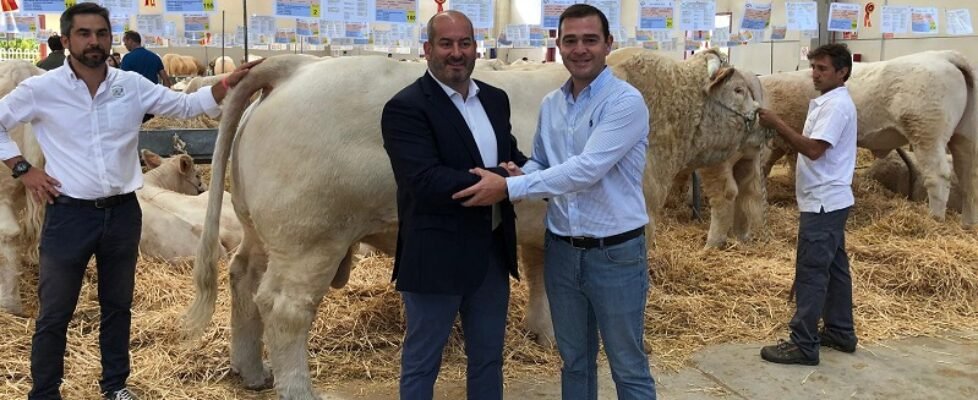 Anagan siglo xxi charoles