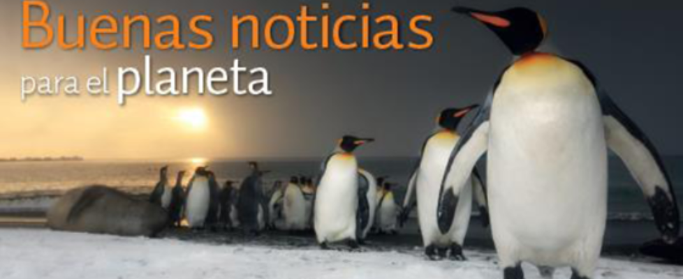 Axa buenas noticias planeta