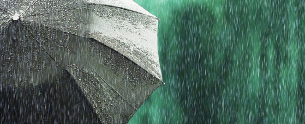 Open black umbrella in wet weather. Autumn rain. Deep sorrow. Wet umbrella against backdrop of street. Sad mood. Raining in city. Heavy rain on summer green background. Feel sorrow and sadness