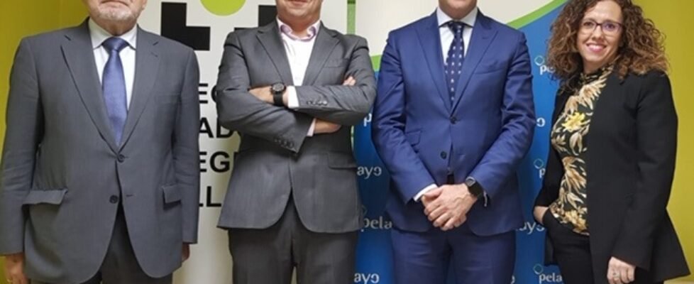 Valladolid Pelayo renovacion