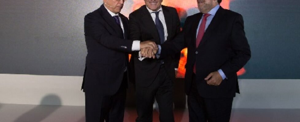 fundacion sanitas juegos