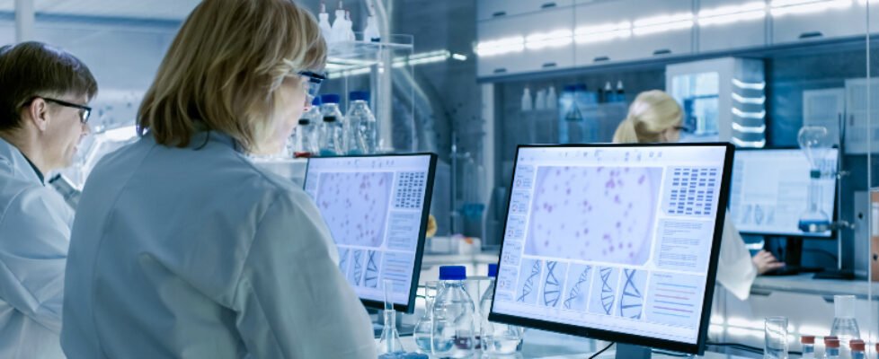 mapfre becas investigación científicos