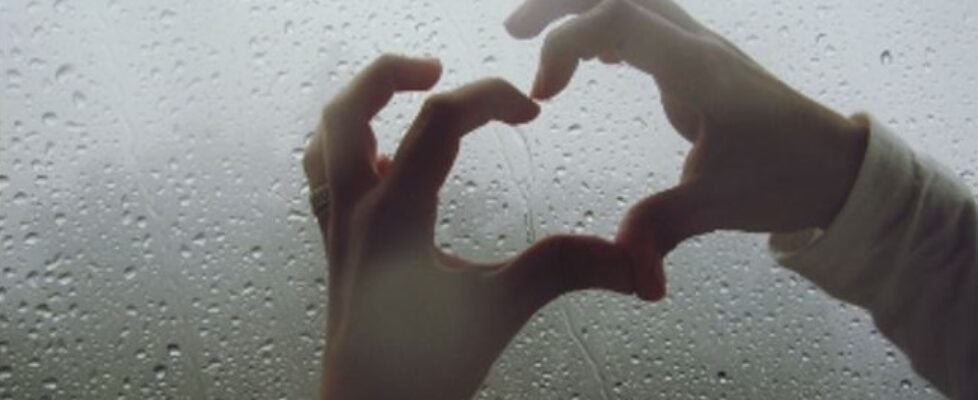 meetlife cambio de hora