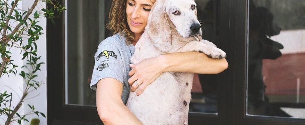 segurartic voluntaria