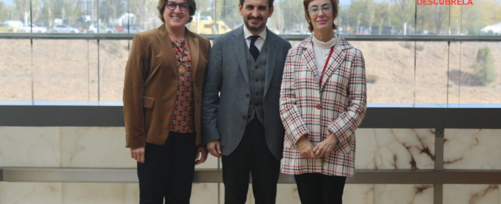 camara de comercio fp