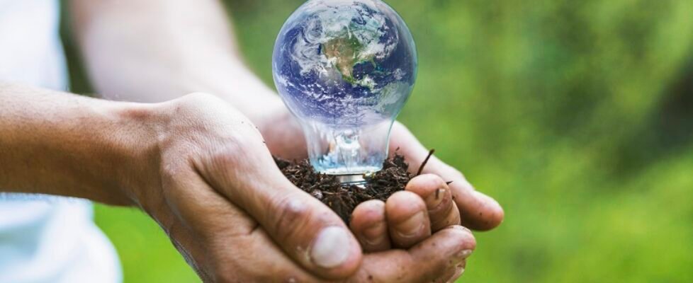 ODS medio ambiente ecologia