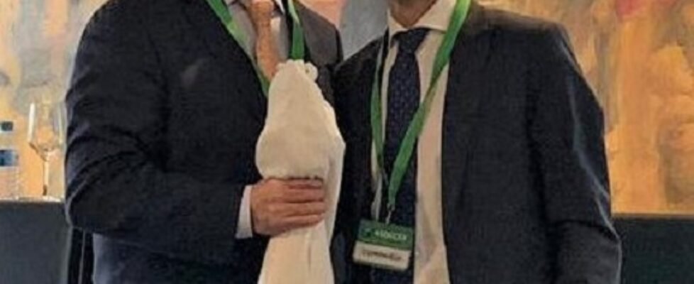 Plus Ultra - Premio Asoccex 2019