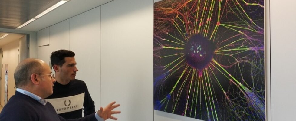 Xavi Vierge - Hospital Nacional de Parapléjicos II (FILEminimizer)