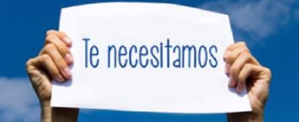 banco alimentos ayuda