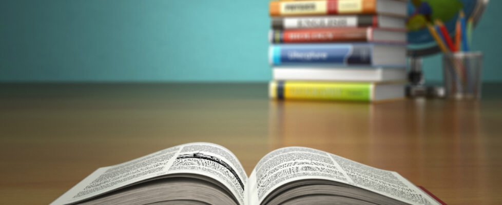 permio julio castelo