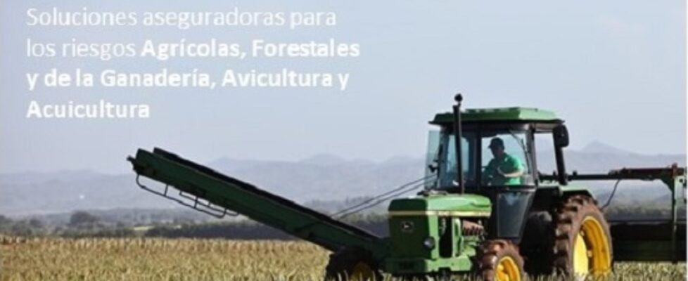 CARTEL AGRARIO NEWCORREDpptx