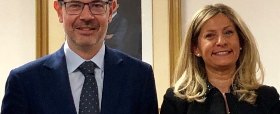 Raul Casado elena consejo general