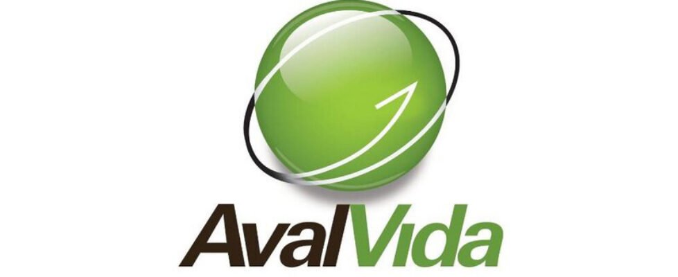 avalvida_logo