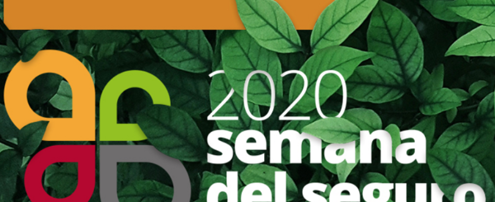 semana seguro 2020