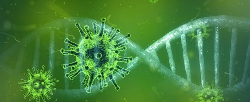 coronavirus-4833754_640