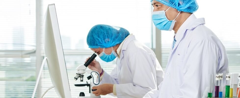 Microbiologists Working at Modern Lab