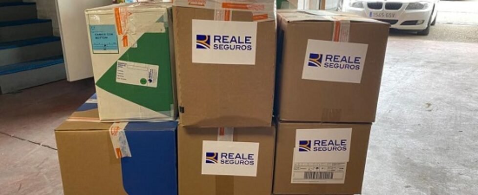 reales seguros donacion