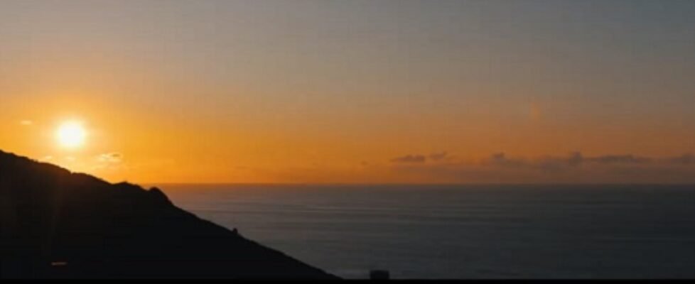 video jovenes del seguro