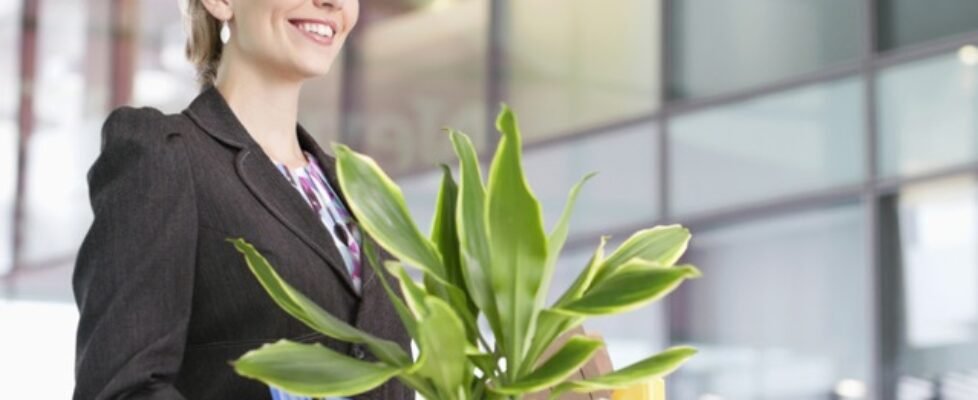 Arag_coronavirus-preguntas_sobre_desempleo