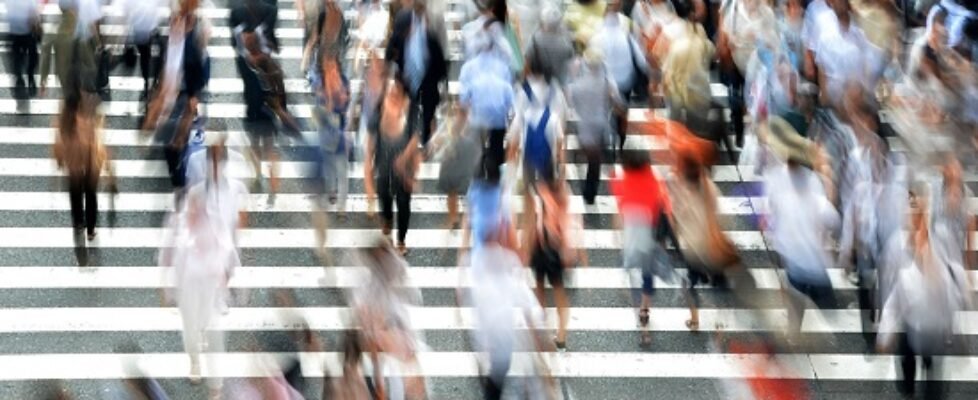 fundacion linea directa