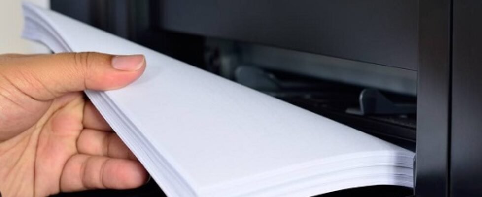 ofesauto carta verde