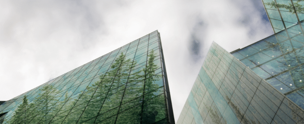 Mapfre Observatorio finanzas sostenibles