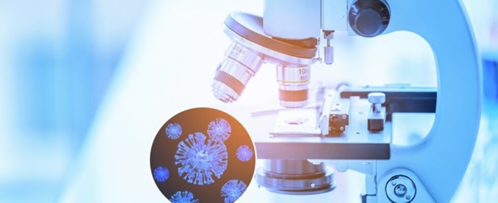 fmc coronavirus covid investigación, microscopio