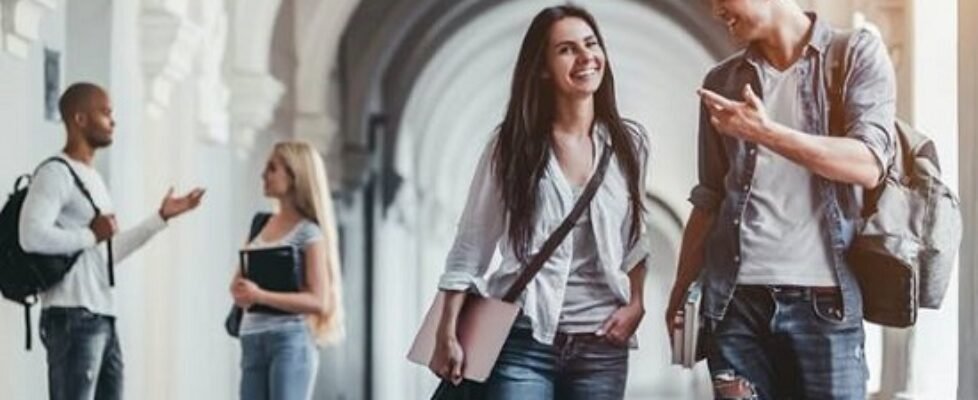 mapfre education talent