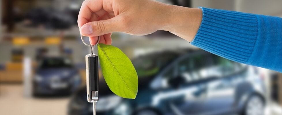 close up of hand holding car key with green leaf