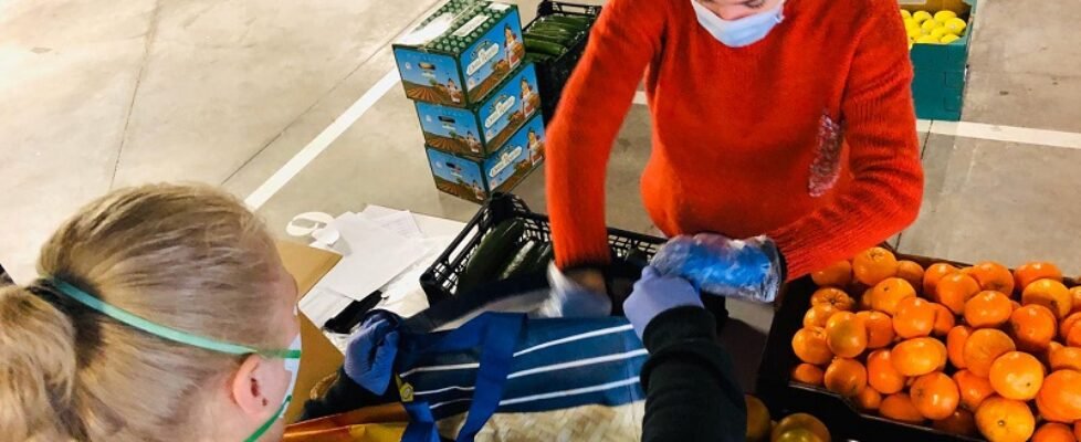 Ayudas Fundación Mutua_Fund José María de Llanos