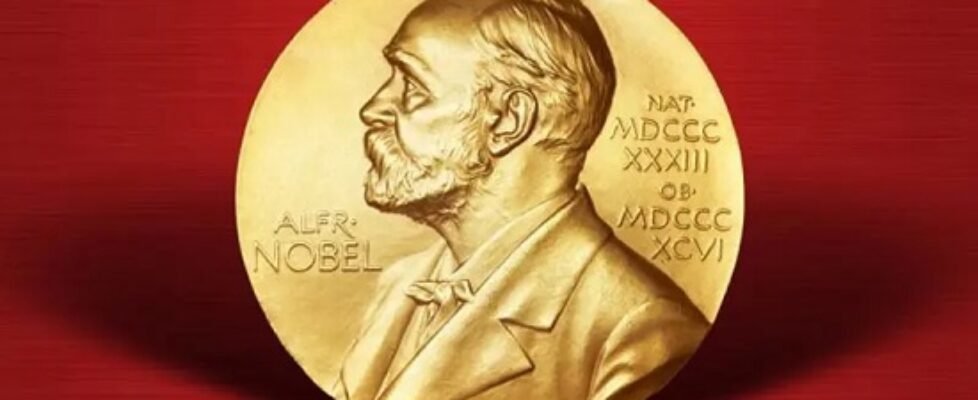 mapfre franco modigliani